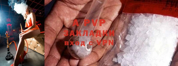 индика Абаза