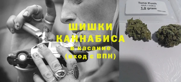 индика Абаза