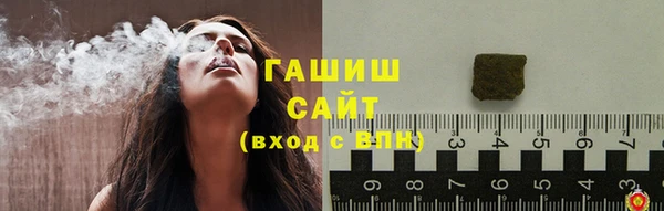 индика Абаза