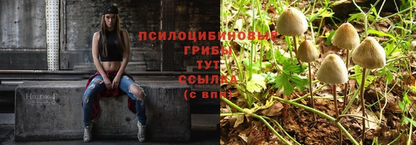 хмурый Абдулино