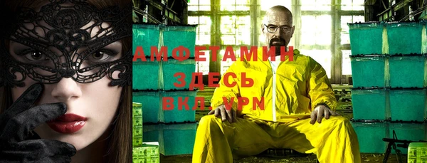индика Абаза
