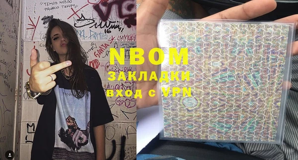 индика Абаза