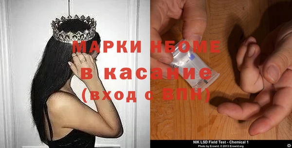 индика Абаза