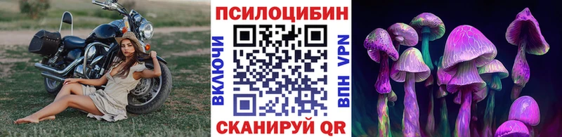 Псилоцибиновые грибы прущие грибы  MEGA tor  Псков 